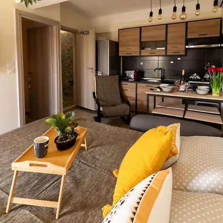 Elenis Luxury Rooftop Apartment Larissa