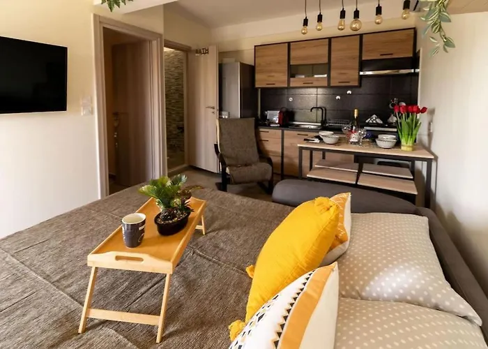 Luxury Rooftop Apartamento Larissa